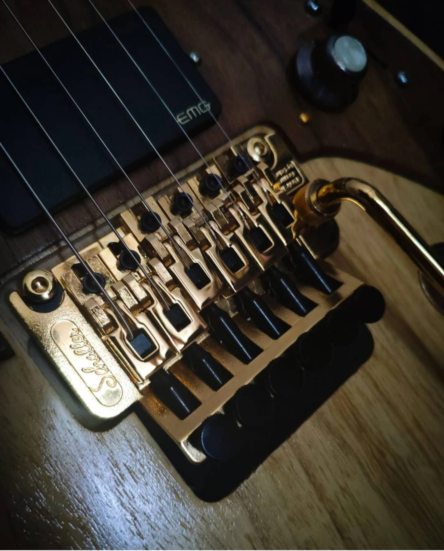 Mástil y trasteado — Steam Wood